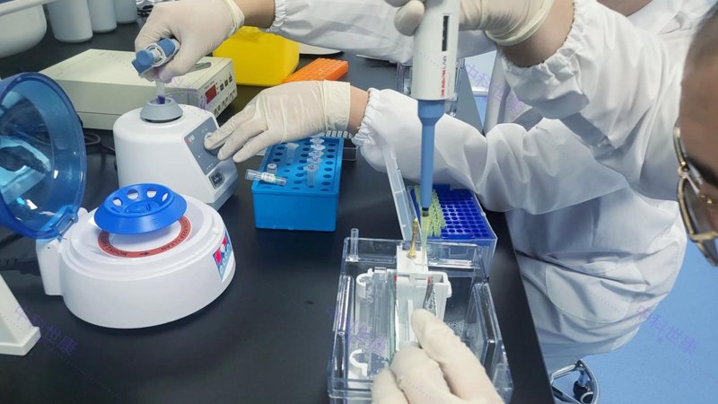 实验外包