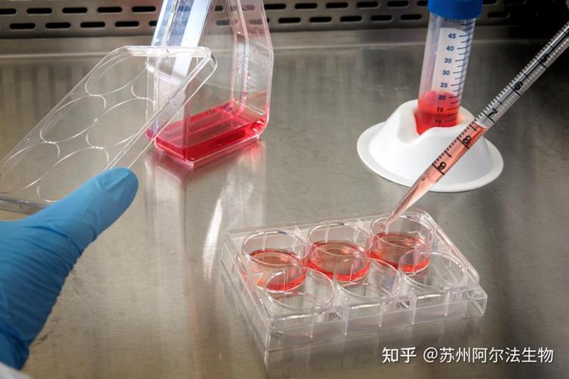 基因检测：选择正确的工具解锁健康未来